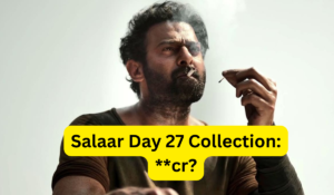 Salaar Box Office Collection Day 27 sacnilk