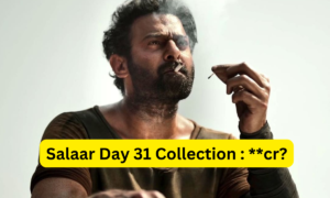 Salaar Box Office Collection Day 31 Sacnilk