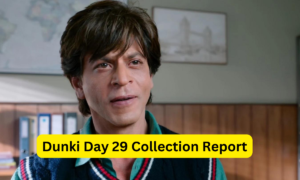 Dunki Day 29 Collection Sacnilk , Dunki Box Office Collection Day 29 Sacnilk