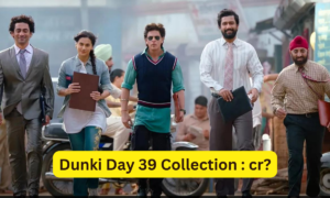 Dunki Box Office Collection Day 39 Sacnilk, Dunki Day 39 Collection Sacnilk