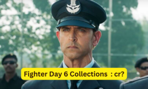 Fighter Box Office Collection Day 6 Sacnilk