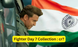 Fighter Box Office Collection Day 7 Sacnilk, Fighter Day 7 Collection Sacnilk