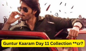 Guntur Kaaram Box Office Collection Day 11 Sacnilk