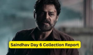 Saindhav Day 6 Collection Sacnilk, Saindhav Box Office Collection Day 6 Sacnilk,