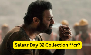 Salaar Box Office Collection Day 32 Sacnilk