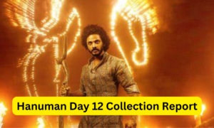 Hanuman Day 12 Collection Sacnilk