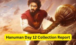 Hanuman Day 12 Collection Sacnilk