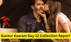 Guntur Kaaram Day 12 Collection Sacnilk