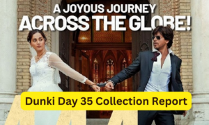 Dunki Box Office Collection Day 35 Sacnilk