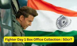 Fighter Box Office Collection Day 1 Sacnilk