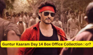 Guntur Kaaram Box Office Collection Day 14 Sacnilk