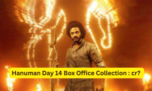 Hanuman Box Office Collection Day 14 Sacnilk