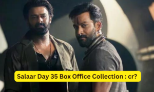 Salaar Day 35 Box Office Collection