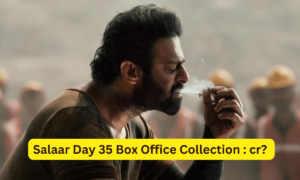 Salaar Day 35 Box Office Collection