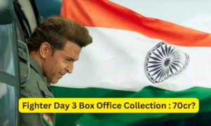 Fighter Box Office Collection Day 3 Sacnilk