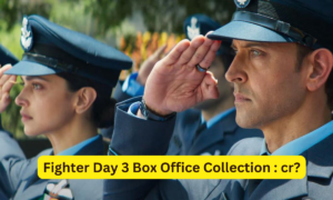 Fighter Box Office Collection Day 3 Sacnilk