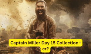 Captain Miller Box Office Collection Day 15 Sacnilk