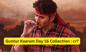 Guntur Kaaram Box Office Collection Day 16 Sacnilk, Guntur Kaaram day 16 collection sacnilk