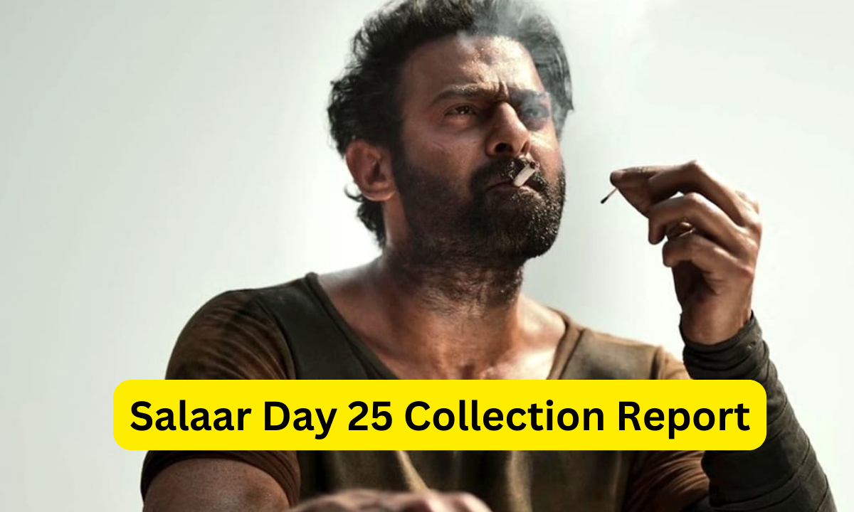 Salaar Box Office Collection Day 25 Sacnilk Hit or Flop