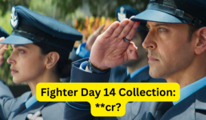 Fighter Box Office Collection Day 14 Sacnilk, Fighter Day 14 Collection Sacnilk