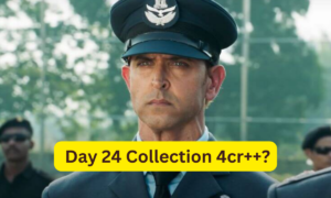 Fighter Box Office Collection Day 24, Fighter Box Office Collection Day 24 Sacnilk