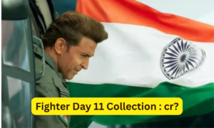 Fighter Day 11 Collection Sacnilk, Fighter Box Office Collection Day 11 Sacnilk